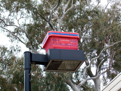 Baskets on a light pole in Reid