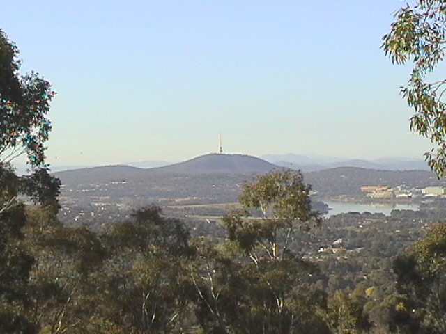 Black Mountain over the rushes.