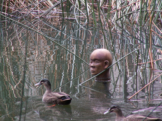 Ducks and a head at the National Gallery