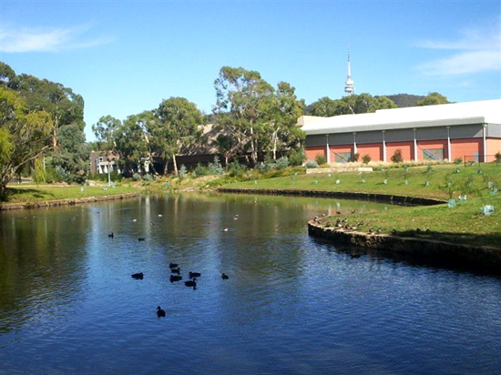 Sullivans Creek in the ANU