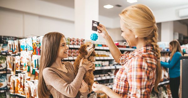 The best pet shops in Belconnen