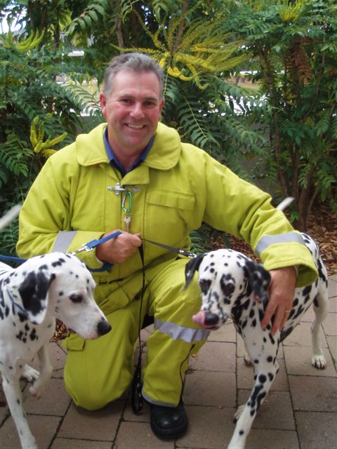 Dalmations