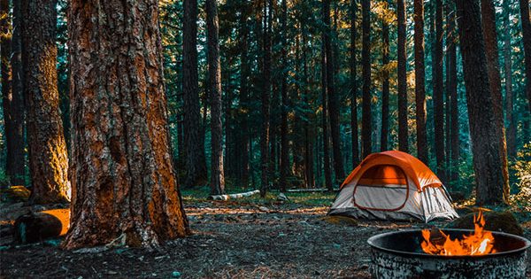 The best campgrounds near Canberra