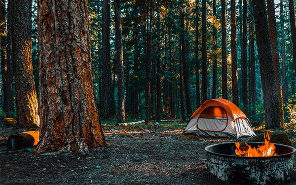 Image of tent in a forest by a fireplace.