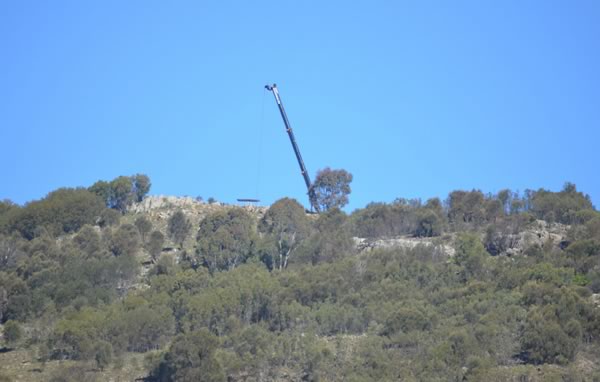Crane on Mt Taylor