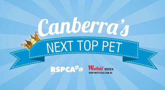 Who is Canberra's Next Top Pet?