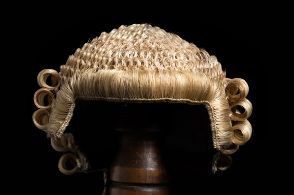 magistrate-judge-wig