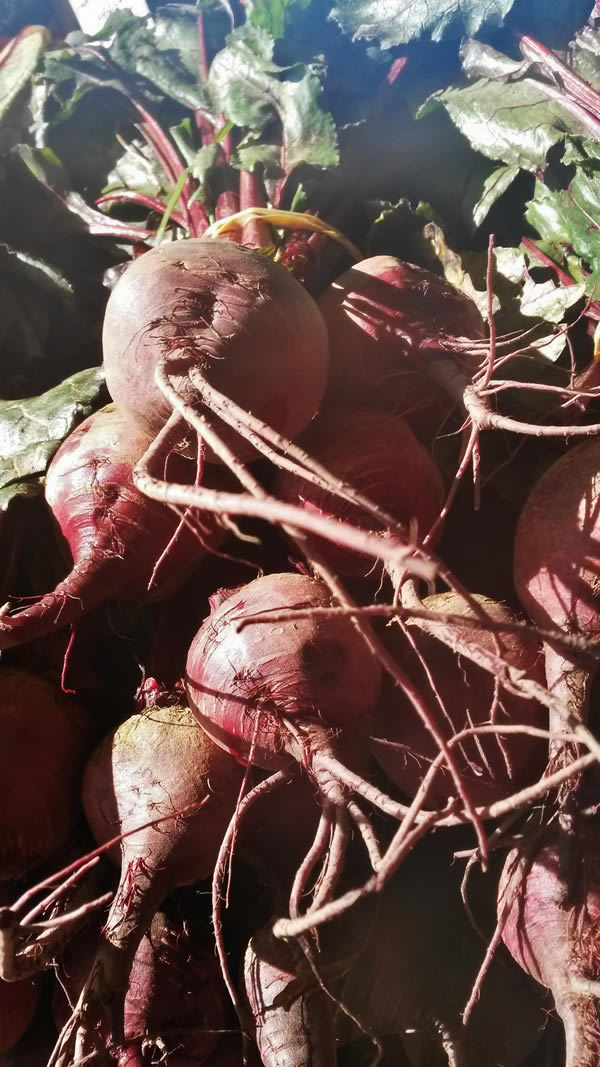 beetroot-farmers-market