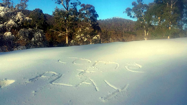 Corin Forest snow report