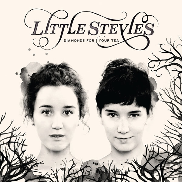 little-stevies-cover