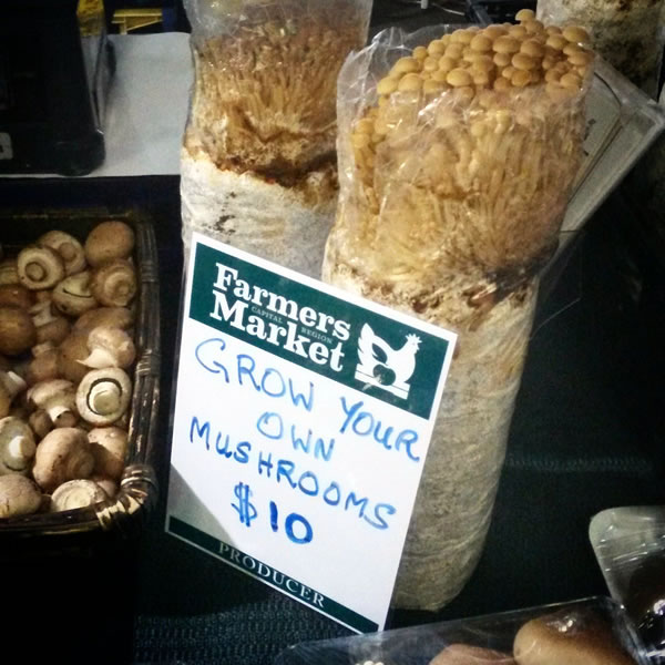 mushroom-markets-c