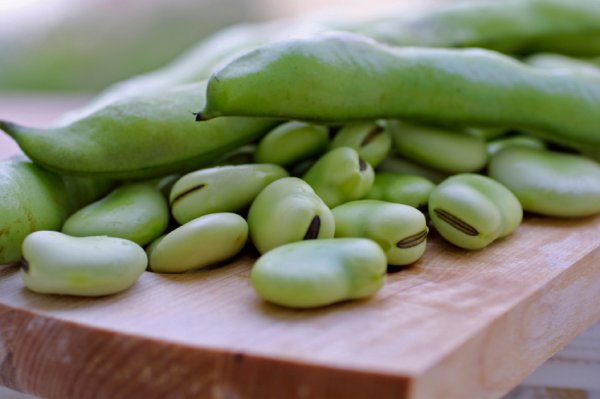 Broad beans in the 'berra