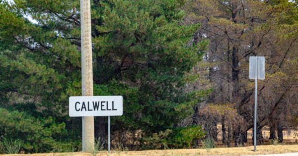Knife-wielding man threatens residents in Calwell