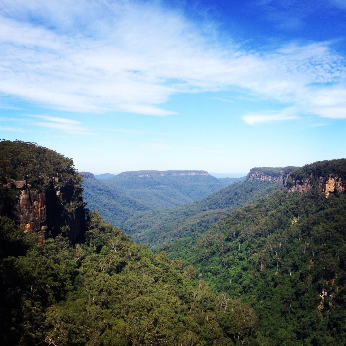 Road trip from Canberra: Kangaroo Valley