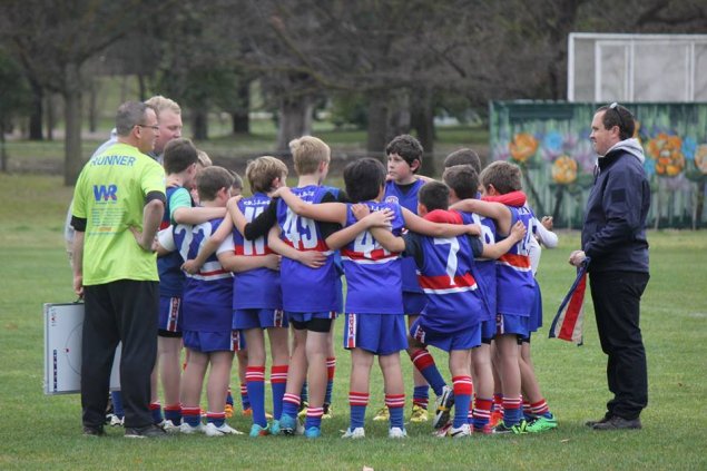 tuggeranong bulldogs junior afl club