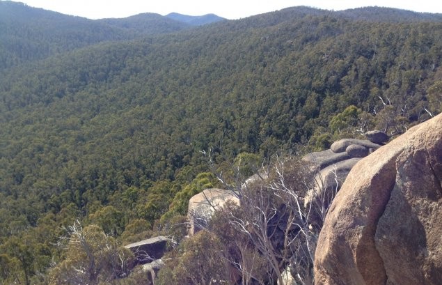 Take a hike: Square Rock trail