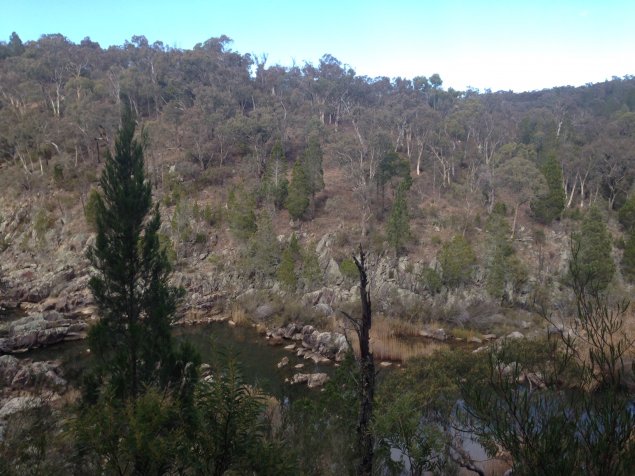 Take a hike: Molonglo Gorge trail