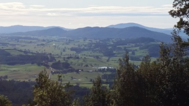 View of Tassie countryside