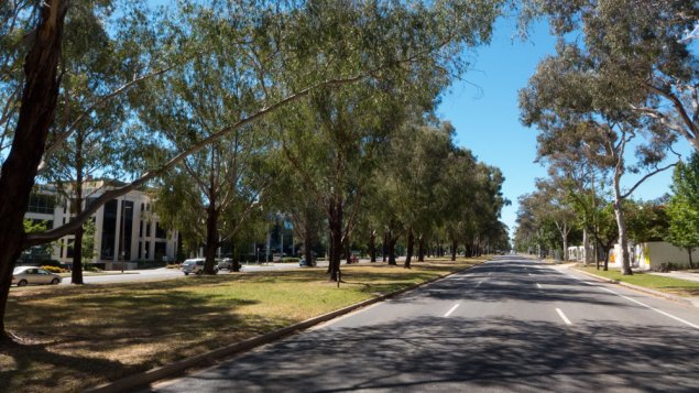 Land Development Agency's obscure news about Northbourne