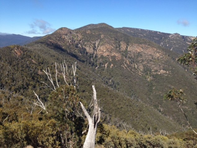 Take a hike: Camel's Hump