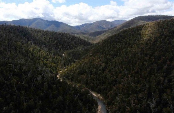 namadgi-background