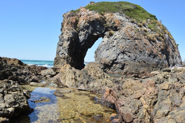 Road trip from Canberra: Horse Head Rock