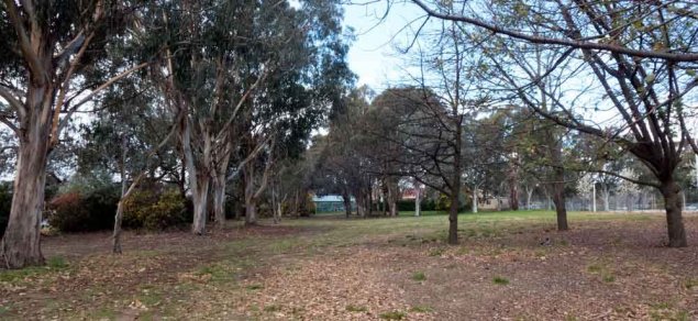 Dickson Parklands – leave the trees alone