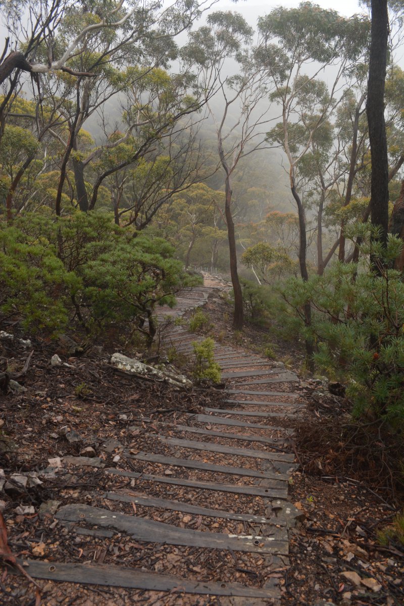 Road trip from Canberra: Kanangra-Boyd National Park