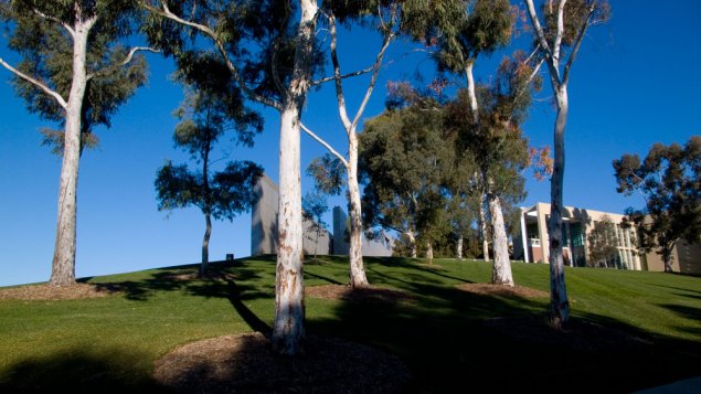 Canberra Tales: Branding and the Parliamentary Gardens