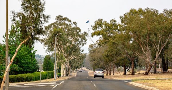 ACT Government to put a price on trees to stop the bulldozers