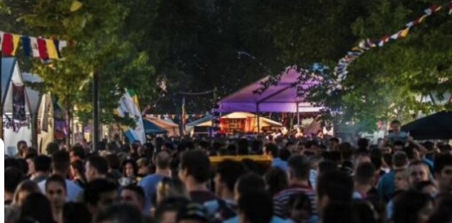 Multicultural Festival crowd 'mostly well-behaved'
