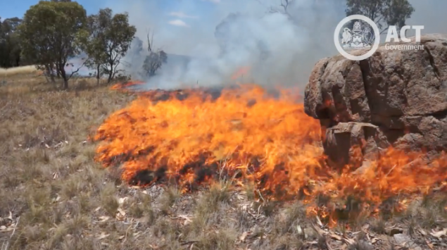 Controlled burns in North Canberra