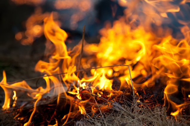 Grass fire contained on Barton Highway at Hall