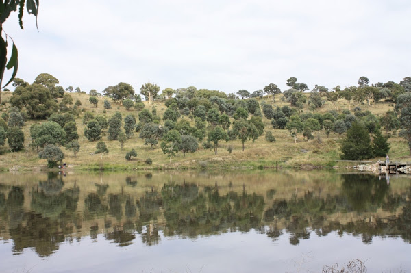 Googong Foreshore