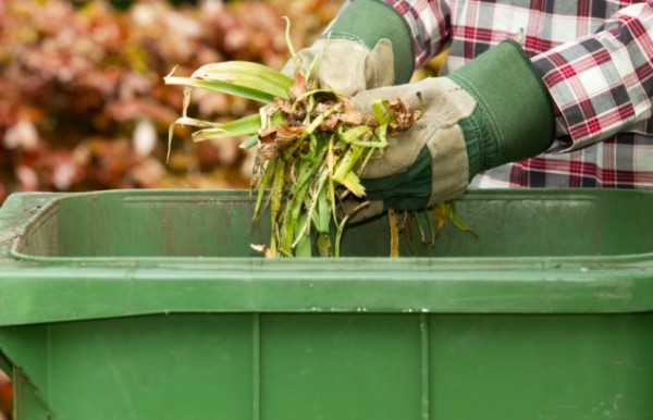 green bins