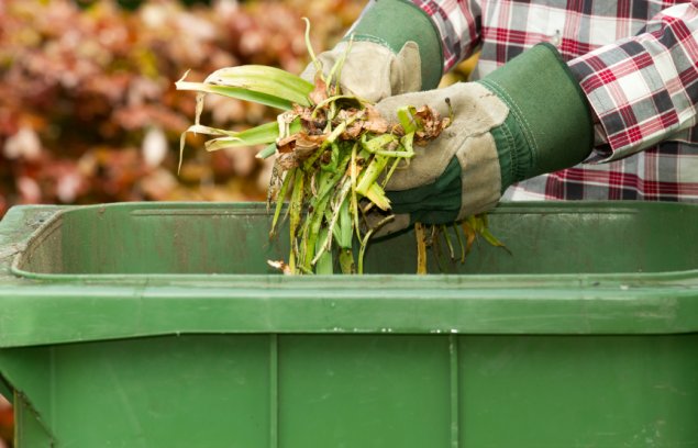 Green bin lids in Orange NSW.