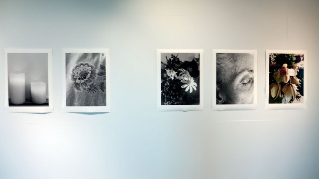 Photography at Nishi Gallery - Beauty In This