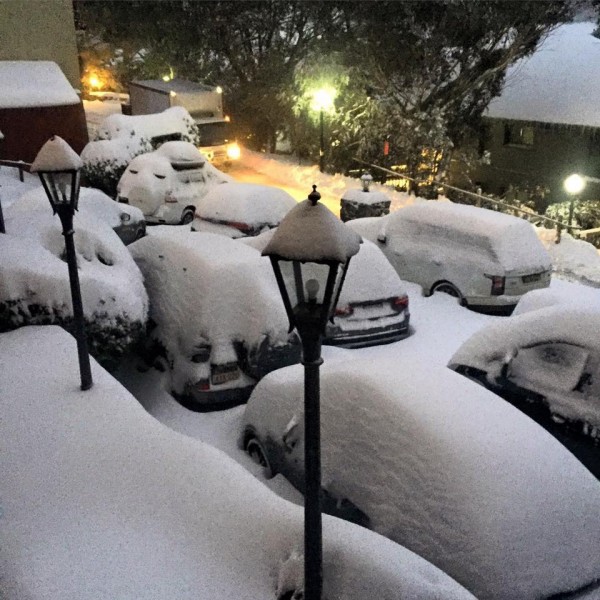 Cars snowed in at Thredbo. Photo: Belinda Wight