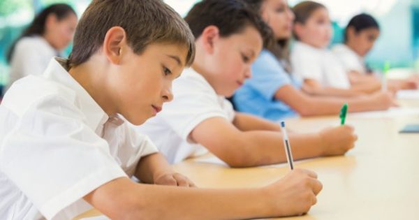 NAPLAN: ACT's fall from grace continues amidst worrying national performance gaps