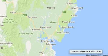 Woman dies after tree falls on tractor near Batemans Bay