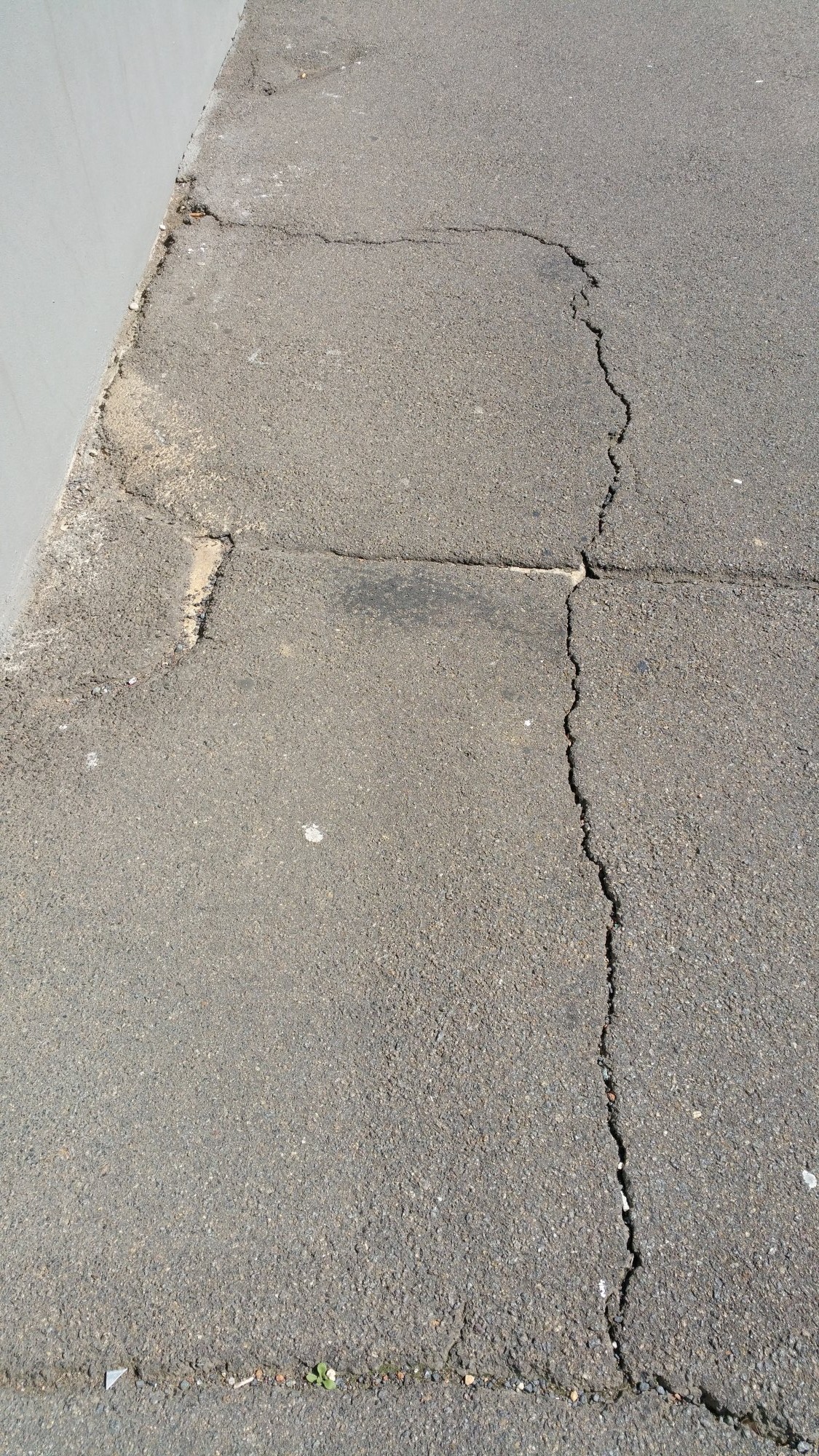 cracked footpaths