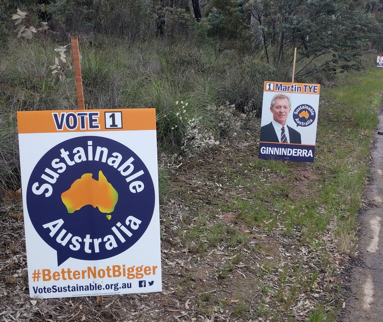 The science and art of election signs