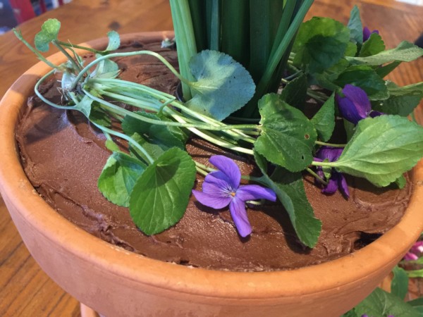 Chocolate flower pot cake