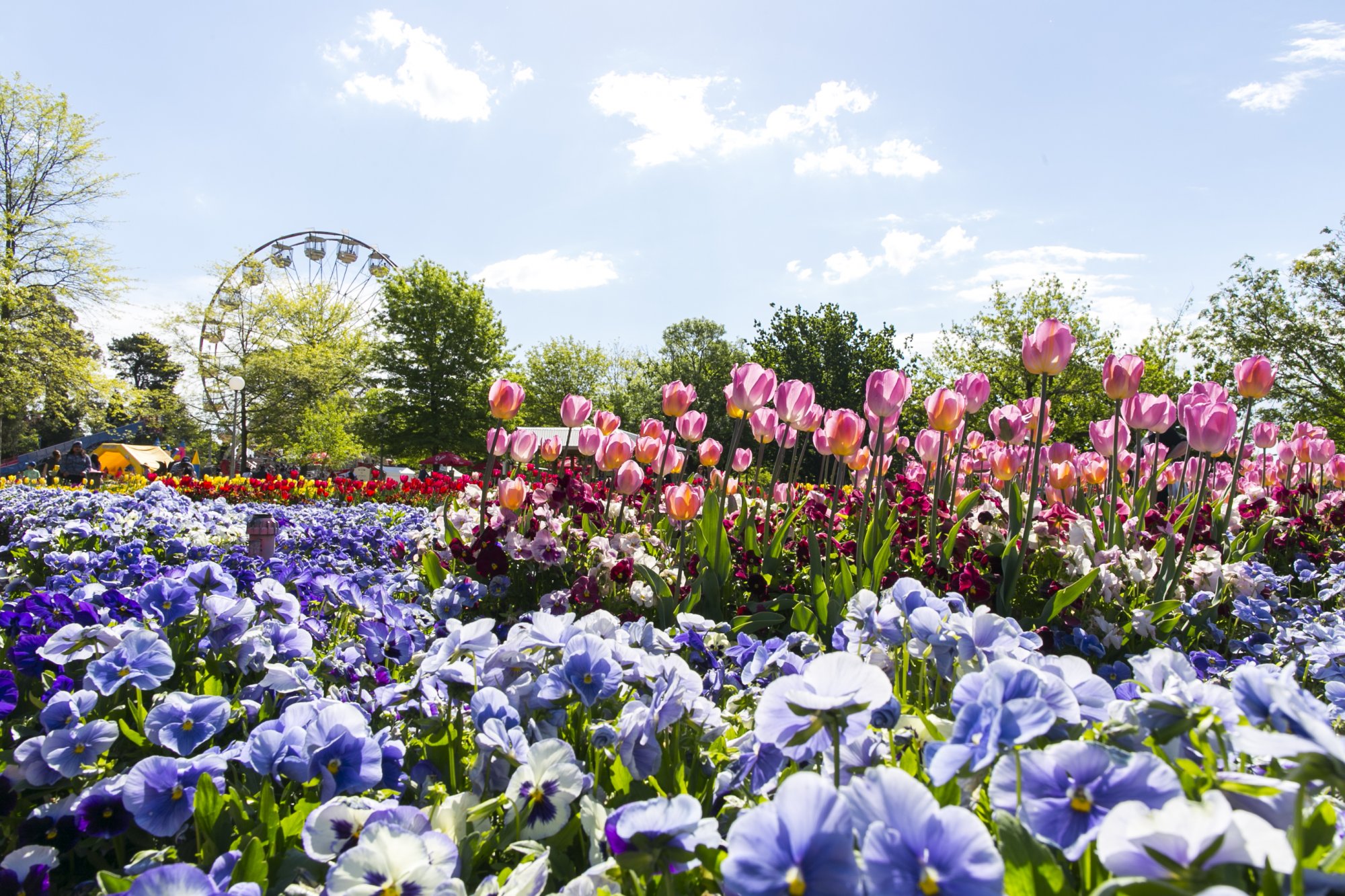 Eight things to do around Canberra this weekend (16-18 September)