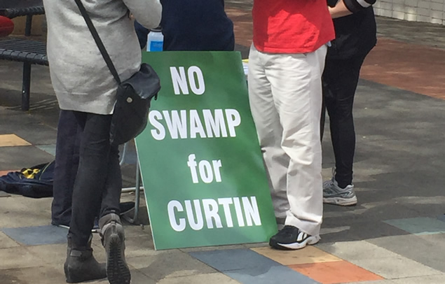 no-swamp-for-curtin