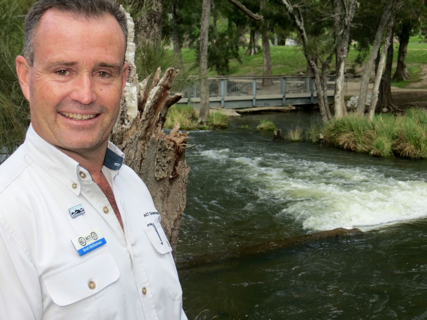 Water recharges Canberra's iconic Cotter Avenue