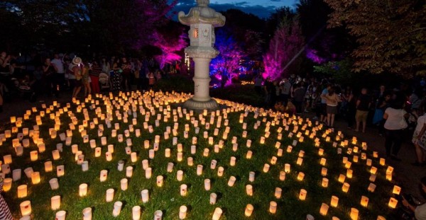 canberra-nara-candle-festival-_gallery