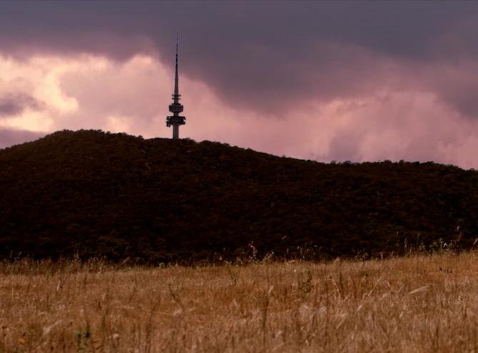 Black Mountain Tower in Blue World Order. Photo: Supplied