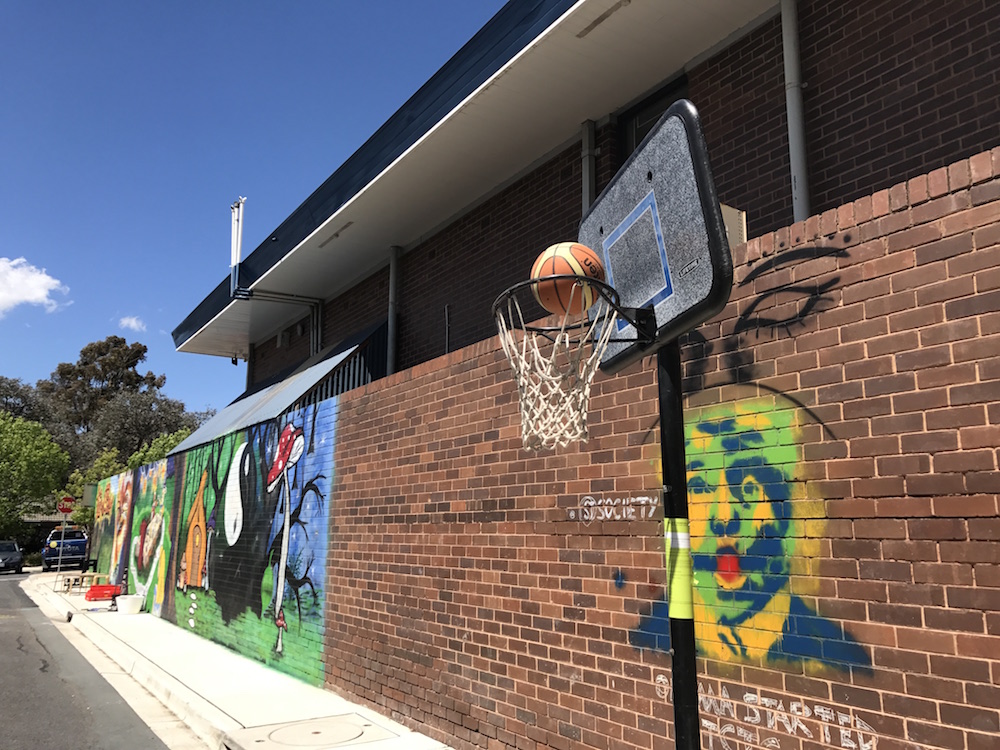 Save Fox & Bow’s basketball hoop from the fun police