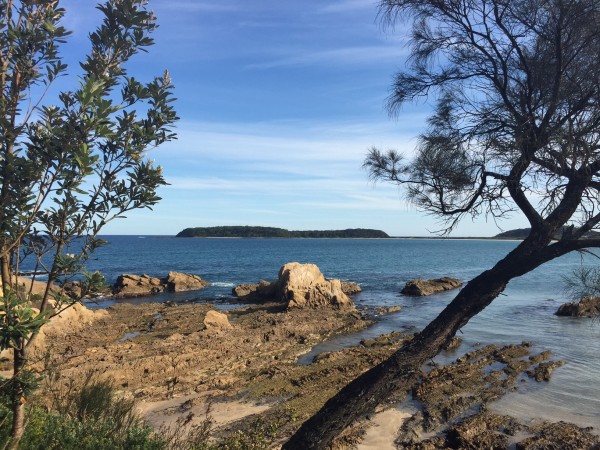 Broulee Island. Photo: Charlotte Harper